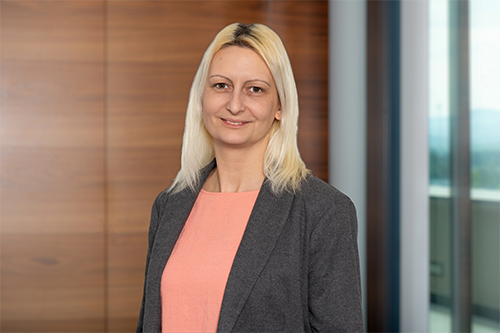 VIVIT_daniela_putzer_2026_web